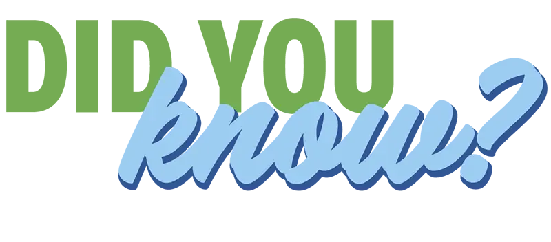 Graphic Services-Logo-Web Design Graphic Services; Did You Know text header
