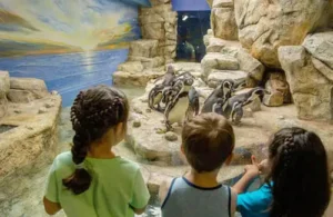 Moody Gardens aquarium in Galveston, TX