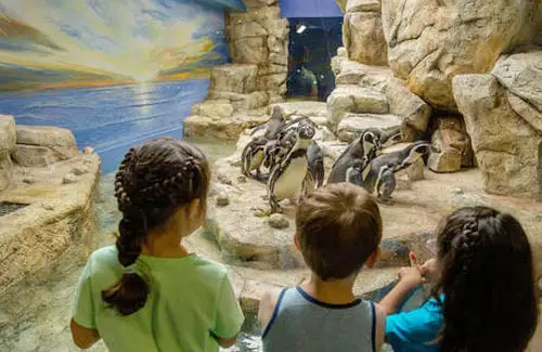 Moody Gardens aquarium in Galveston, TX