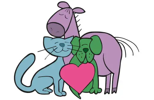 Pet-Preferred animals; pet sitting services