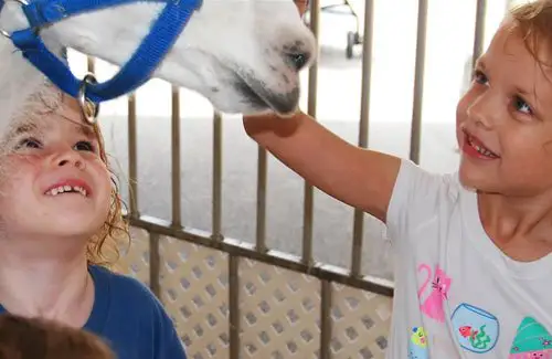 Grand Kids Festival; Festival-Houston-Petting-Zoo-Family-Event