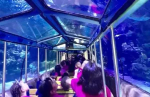 Kids Clubhouse field trip to the aquarium