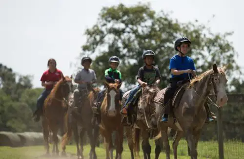 Kids riding horses at Camp Allen Summer Camp; camps; retreats; discovery program; outdoor education