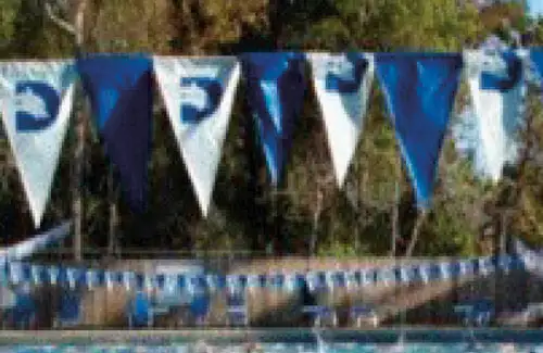 Dad's Club swim flags at the pool