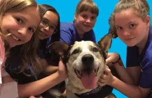 Houston SPCA Critter Camp-kids taking care of a dog