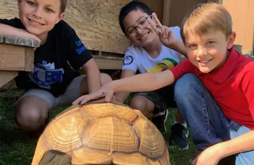 Up close to a turtle at Kids Resort Summer Program; after-school program