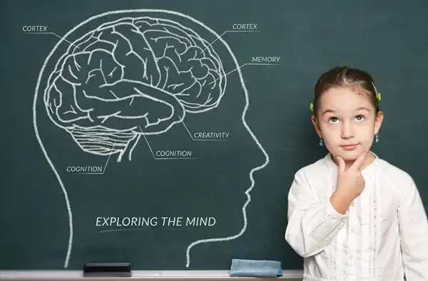 What You Need To Know About Child Brain Development main image showing a child leaning up against chalkboard with an illustration of brain development.