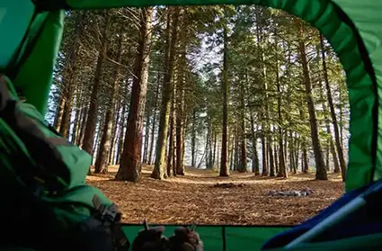 camping destinations near Houston; 5 family-friendly camping destinations near Houston