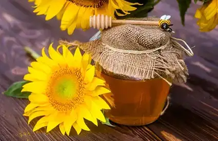Benefits of Texas Local Honey advertorial picture