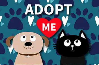 Image for Looking to adopt this summer? Here are some tips! article. Image of dog and cat with text saying adopt me.