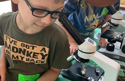 Student looking and exploring through a microscope at Moody Gardens summer camp.