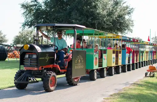 Tractor train with happy kids aboard at Old Time Christmas Tree Farm.