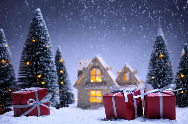 Holiday Activities and Events 2024 blog article image; 2024 holiday activities and events