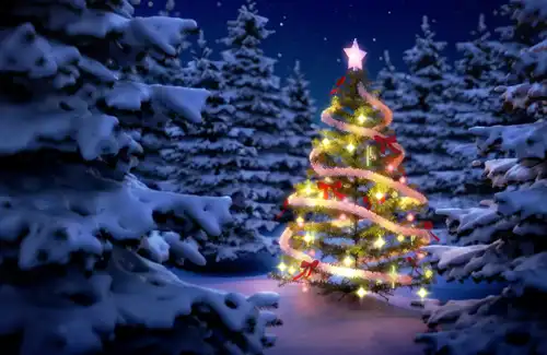 Holiday Activities and Events 2024 blog article image; christmas tree in winter snow