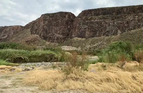 Foraging Texas; Interview with Mark “Merriwether” Vorderbruggen blog article image of Big Bend.