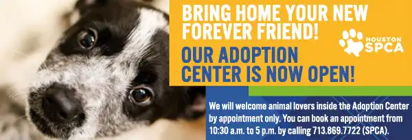 Houston SPCA