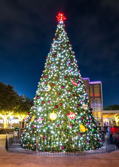 City of Conroe Tree Lighting