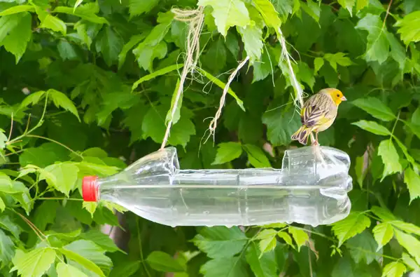 Making Bird Feeders With The Kids: Fun, Educational, and Creative main blog image showing a bird feeder made out of a plastic bottle.