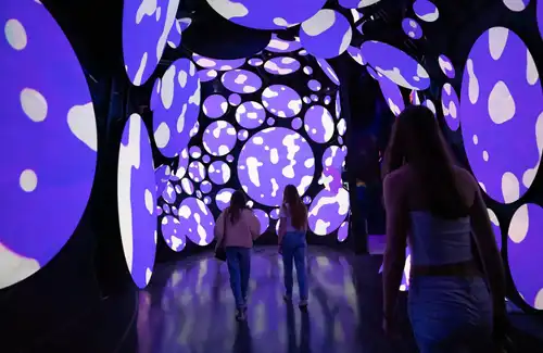 Immersive Art at Seismique with customers walking through the display.